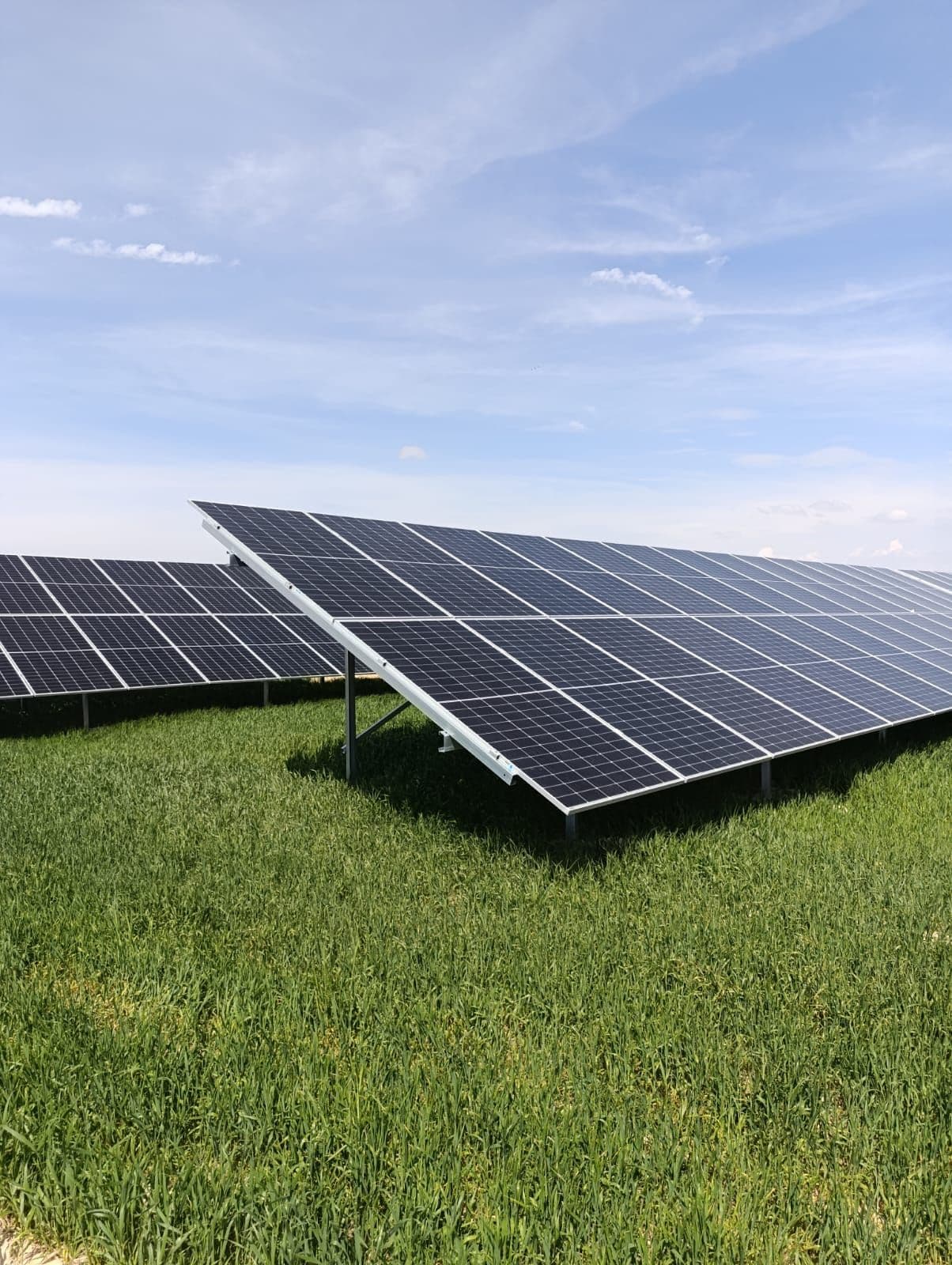 2024'te Yenilenebilir Enerjide Rekor Artış