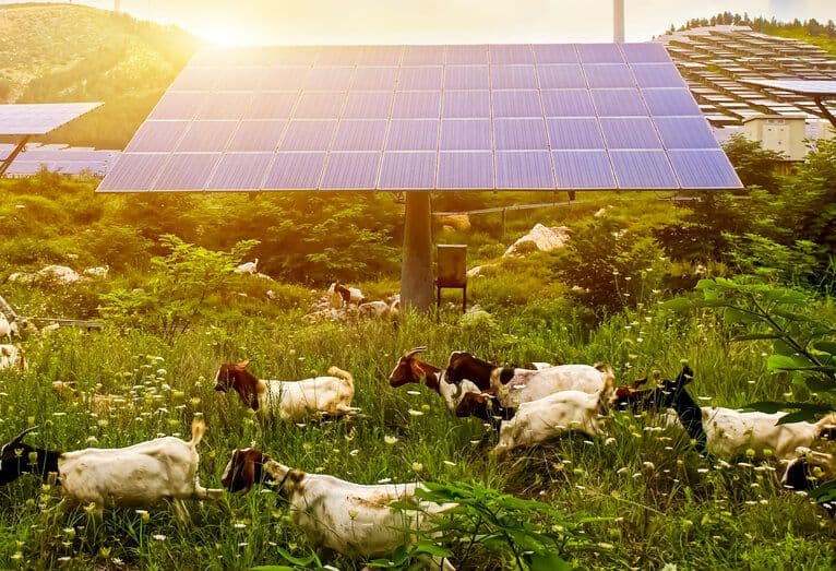 Sera ve Hayvancılık Tesisleri için On-Grid Güneş Enerji Sistemleri